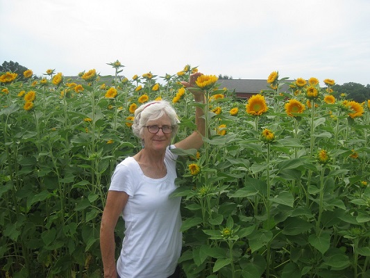 large gallery image 2