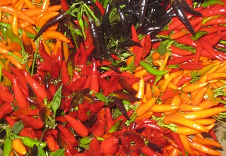 ornamental peppers
